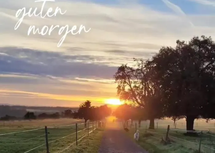 Отель Familienresort Wiesenhof Марксцелль