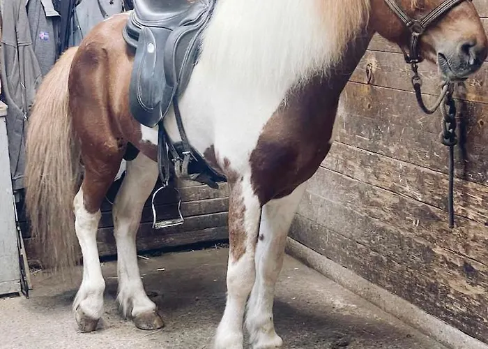 Familienresort Wiesenhof 3* Марксцелль