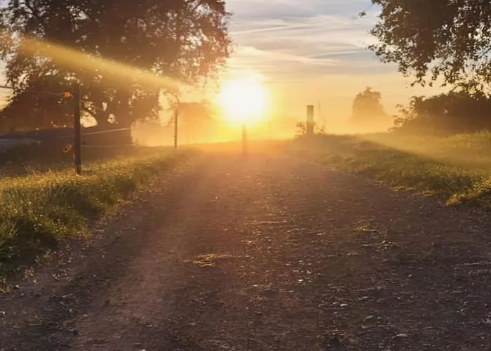 Familienresort Wiesenhof